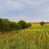 SUPER OCAZIE SE VINDE TEREN UZUNU STRADAL DN5 BUCURESTI-GIURGIU