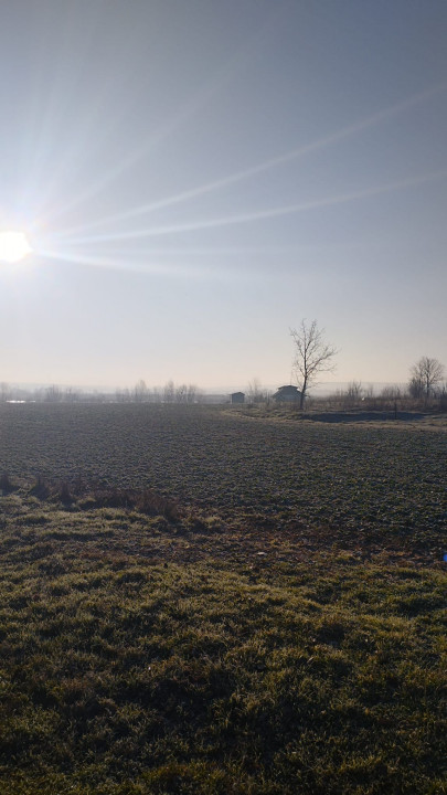 Vand teren intravilan 4000MP cu  dechidere la Delta Neajlovului, Comana GR