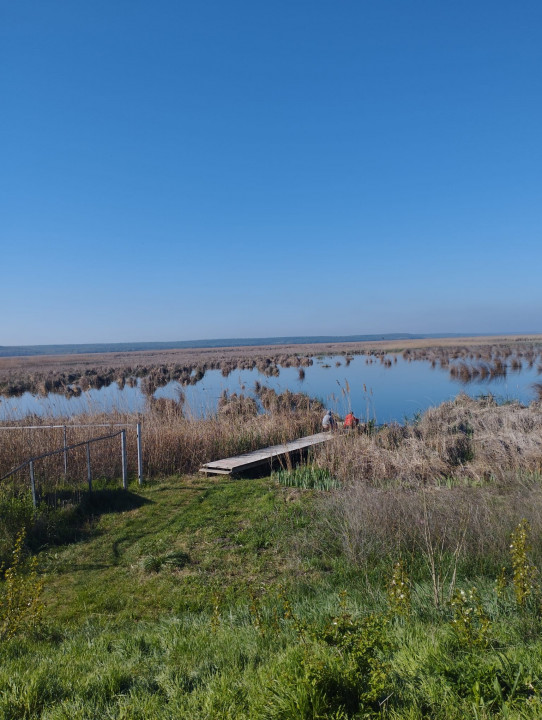 Vand teren intravilan 4000MP cu  dechidere la Delta Neajlovului, Comana GR