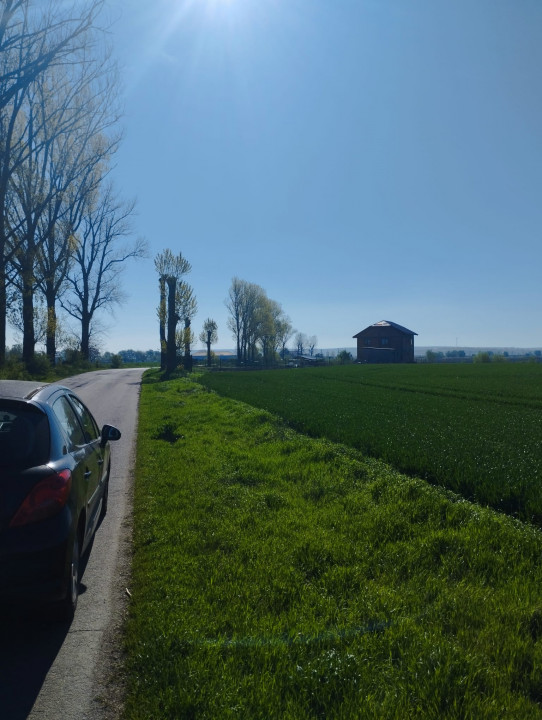 Vand teren intravilan 4000MP cu  dechidere la Delta Neajlovului, Comana GR