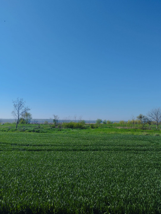 Vand teren intravilan 4000MP cu  dechidere la Delta Neajlovului, Comana GR