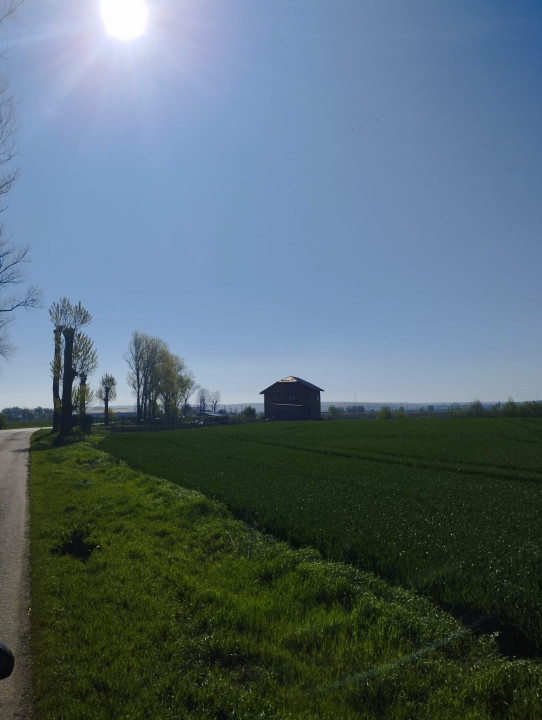 Vand teren intravilan 4000MP cu  dechidere la Delta Neajlovului, Comana GR
