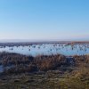 Vand teren intravilan 4000MP cu  dechidere la Delta Neajlovului, Comana GR