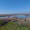 Vand teren intravilan 4000MP cu  dechidere la Delta Neajlovului, Comana GR