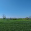 Vand teren intravilan 4000MP cu  dechidere la Delta Neajlovului, Comana GR