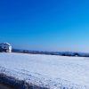 Vand teren intravilan 4000MP cu  dechidere la Delta Neajlovului, Comana GR