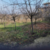Teren intravilan 609 mp Vidra, deschidere 24 m, ideal pentru construcție