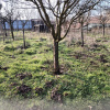 Teren intravilan 609 mp Vidra, deschidere 24 m, ideal pentru construcție