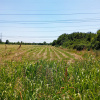 TEREN INTRAVILAN 8300 MP SECTOR 3 ZONA NICOLAE TECLU CEL MAI MIC PRET 431.600 Eu