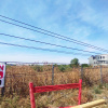Se inchiriaza teren 5000mp in zona Măgurele Sector 5 pentru construcții P+4
