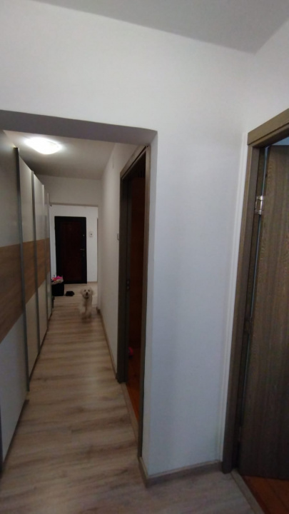 Apartament 4 camere, 2 bai. Blocul este din 1986 parter strada Soldat Croitoru V