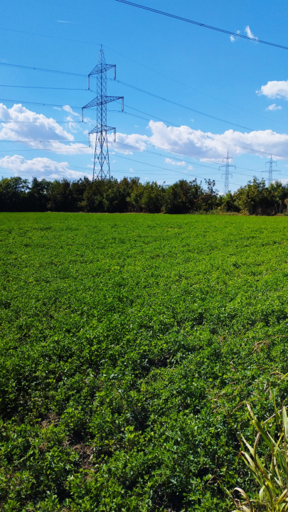 MEGA OCAZIE TEREN INTRAVILAN INDUSTRIAL 13652 MP DRUMUL LUNCA CETATII 42 E/MP 