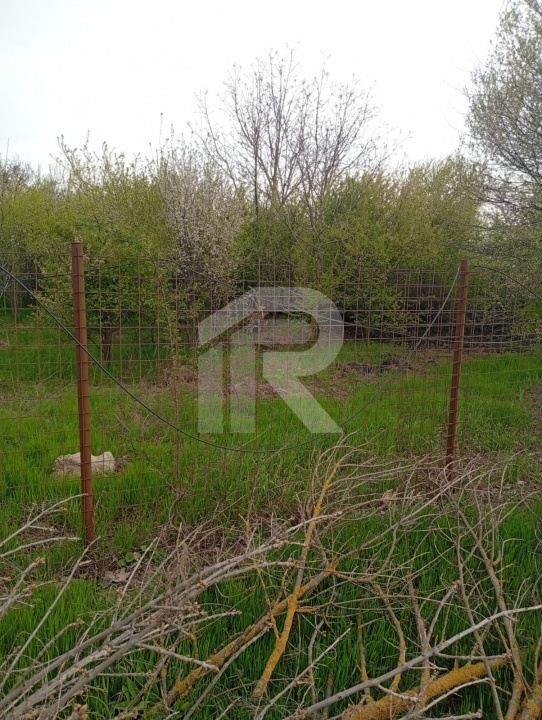 Teren intravilan mixt Buftea – spre Corbeanca | 1.250 mp | Ideal investiție