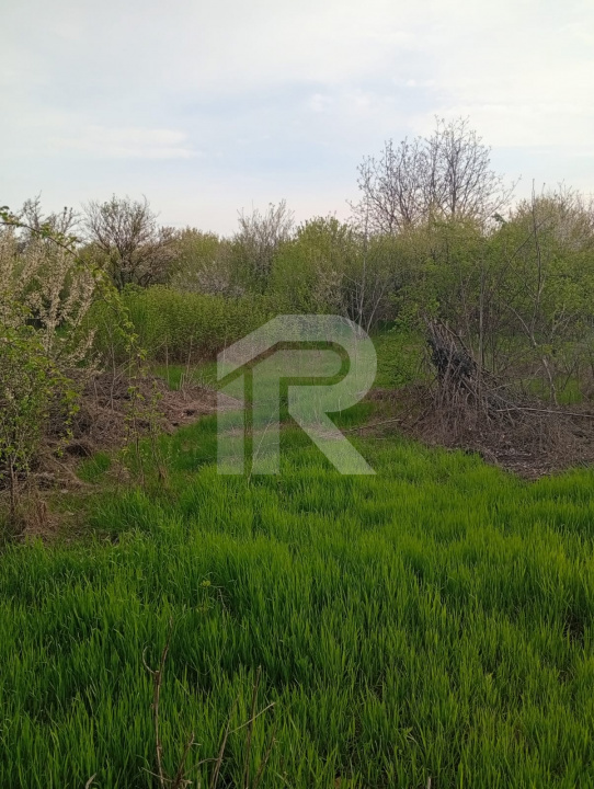 Teren intravilan mixt Buftea – spre Corbeanca | 1.250 mp | Ideal investiție