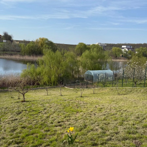 Ideal Teren intravilan Buftea – deschidere directă la lac | 883 mp | Utilități |