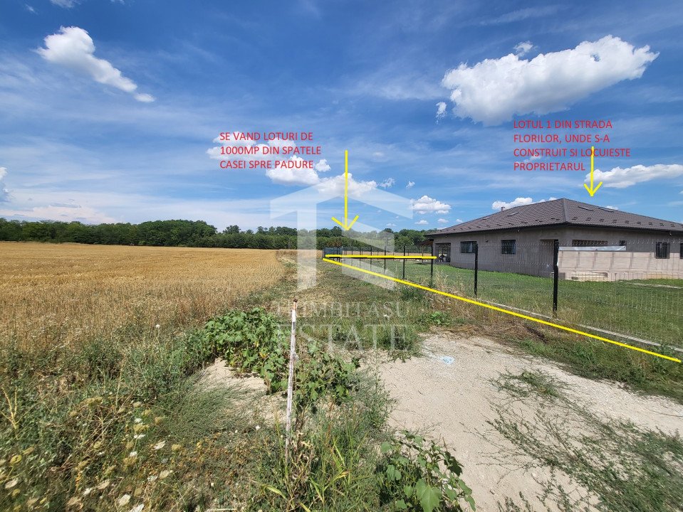 SNAGOV Izvorani 1150mp Lac si Padure langa Comitetul Olimpic Roman