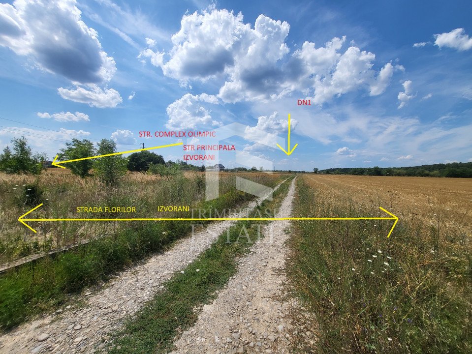 SNAGOV Izvorani 1150mp Lac si Padure langa Comitetul Olimpic Roman