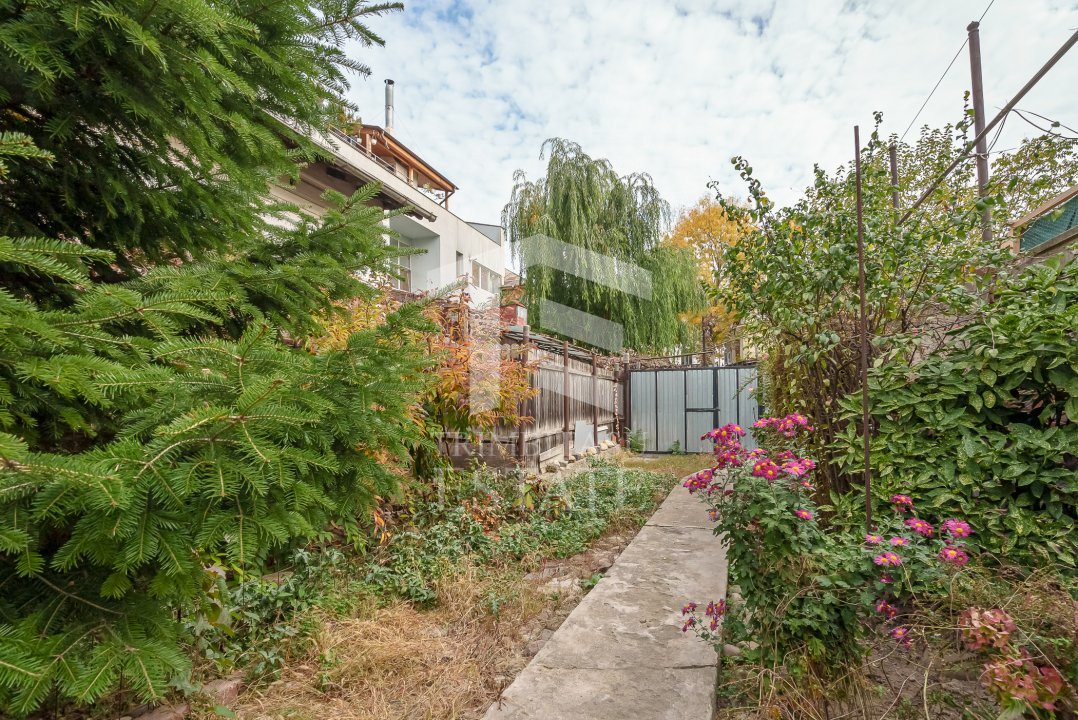 Ferdinand spate Liceul Hasdeu casa interbelica singur curte